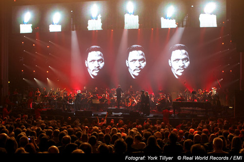Peter GAbriel Live Pic
