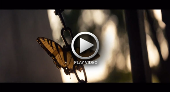 MAN OF STEEL Trailer ansehen